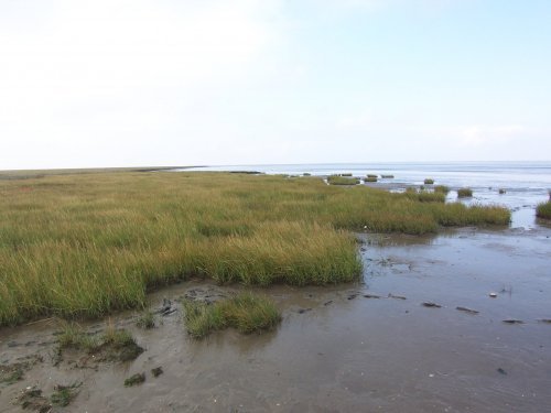 cuxhaven watt 1.jpg