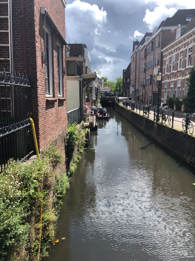 IMG_1456.jpeg