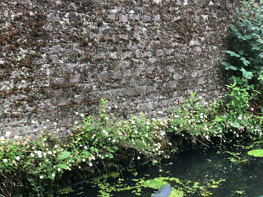 IMG_1624.jpeg