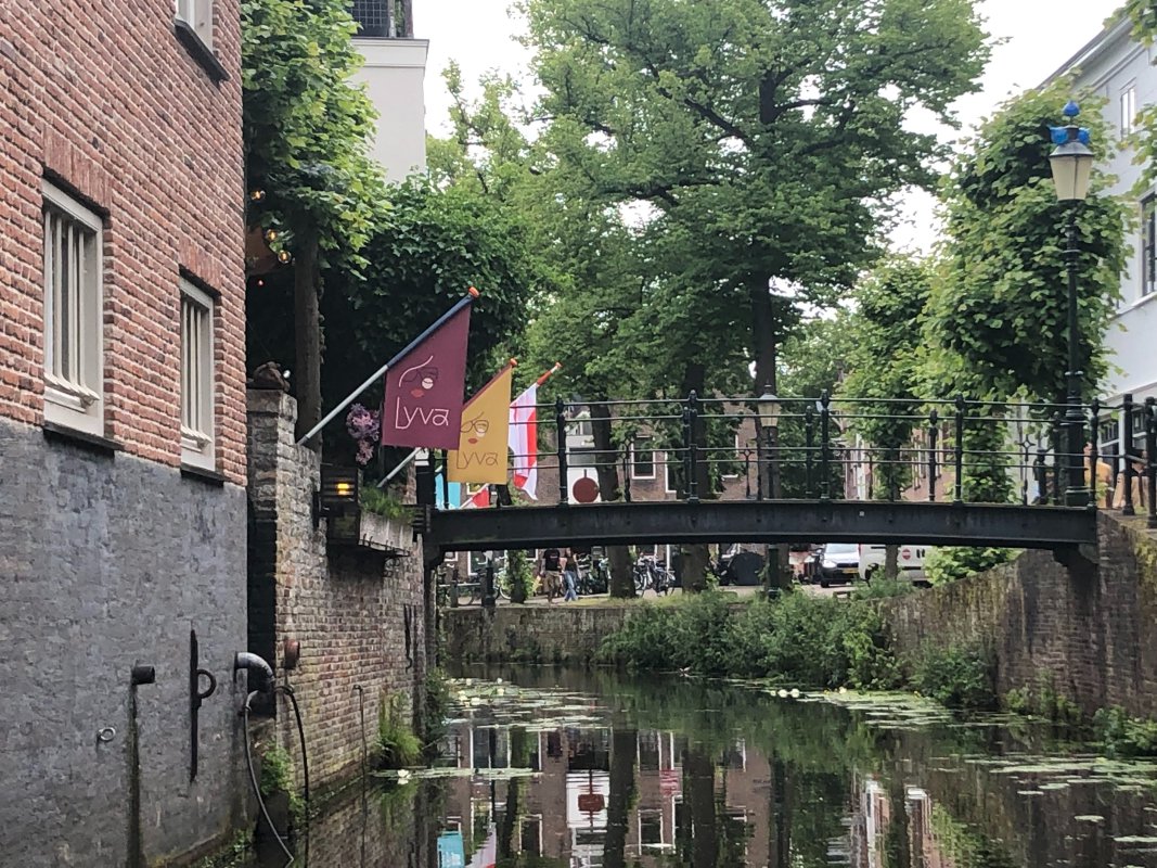 IMG_1634.jpeg