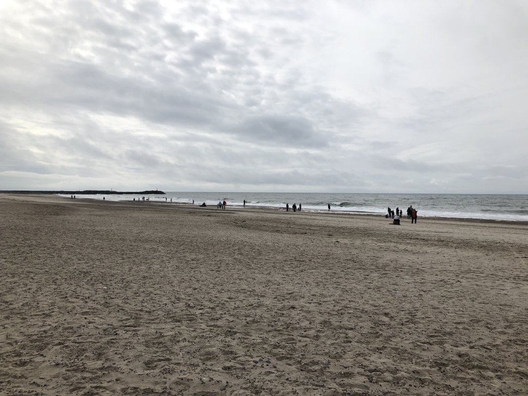 IMG_7283.jpeg