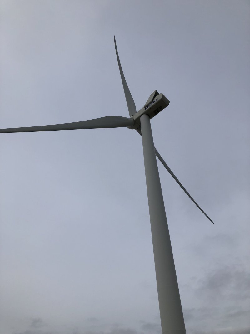 IMG_7282.jpeg