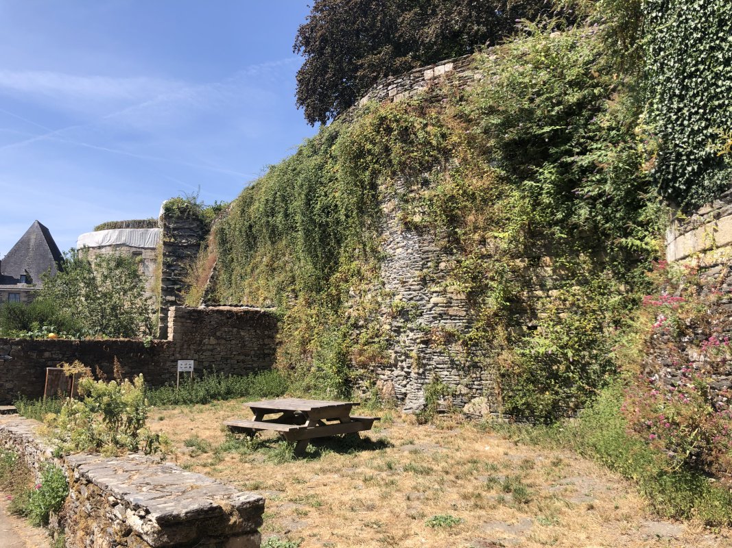 IMG_4899.jpeg