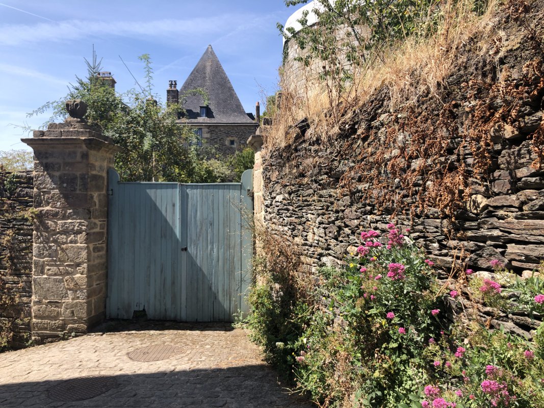 IMG_4901.jpeg