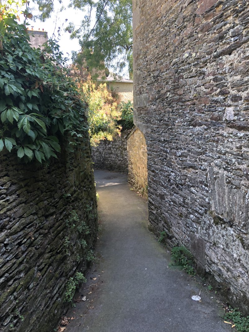 IMG_4935.jpeg