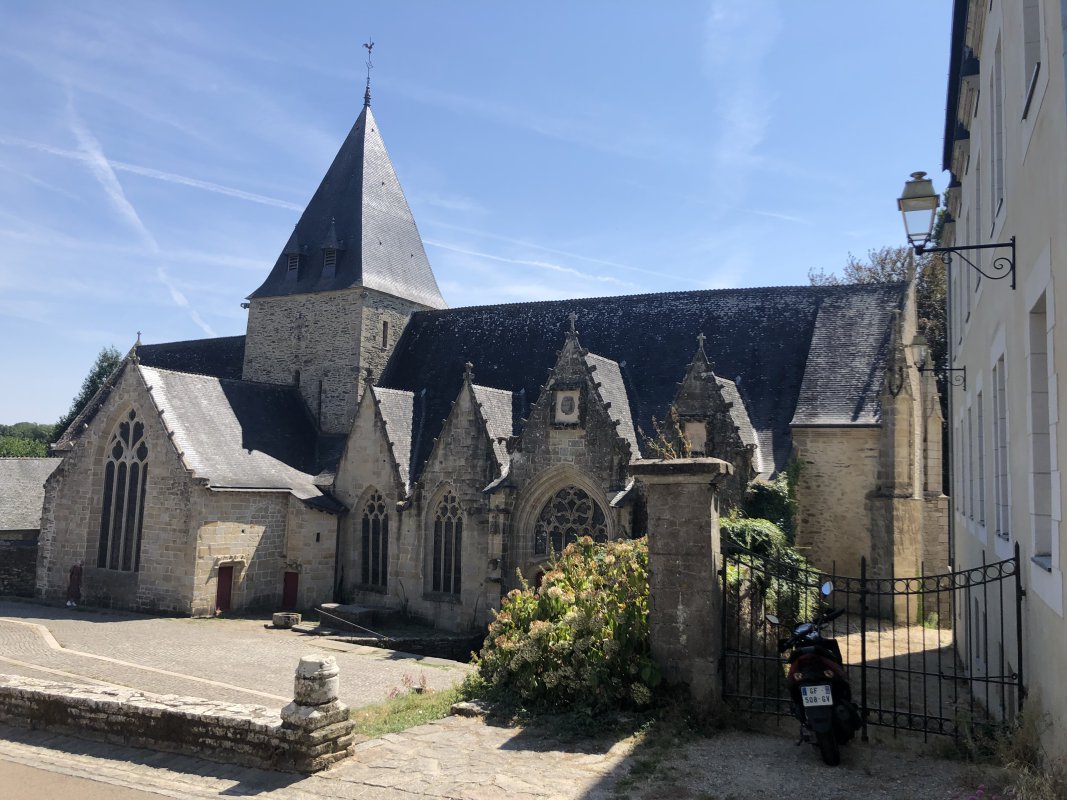 IMG_4950.jpeg