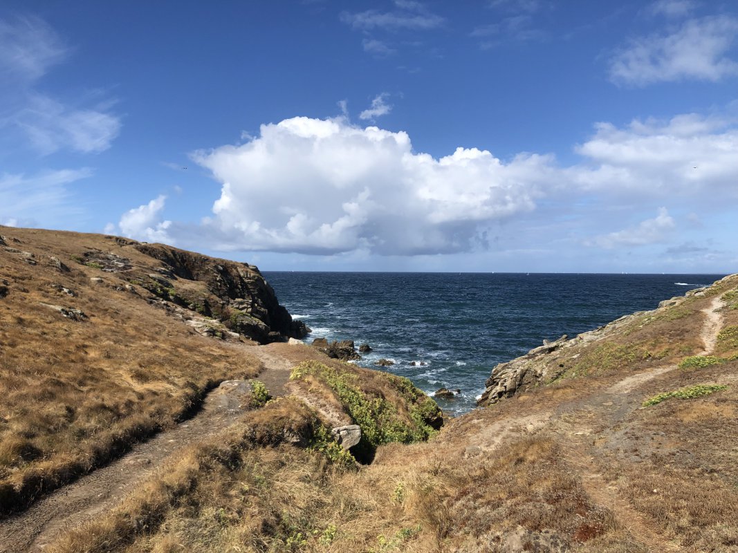 IMG_5124.jpeg