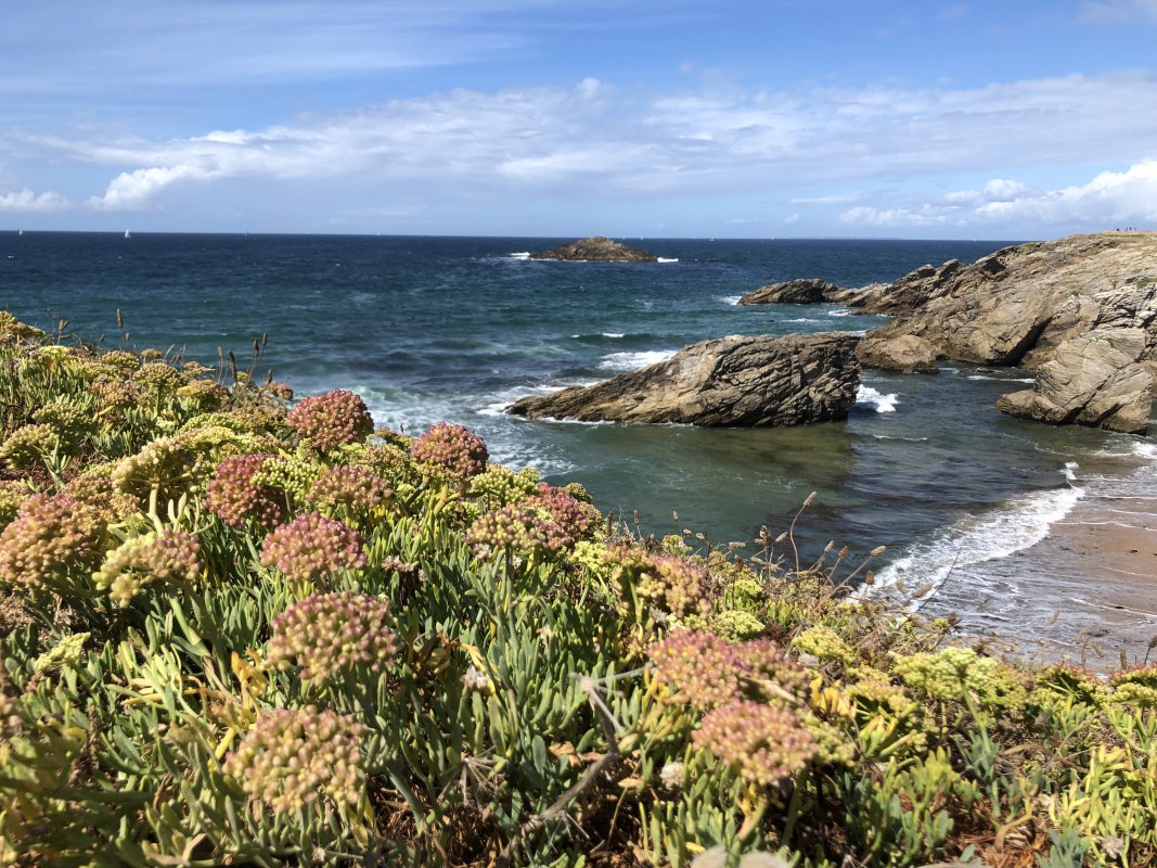 IMG_5184.jpeg