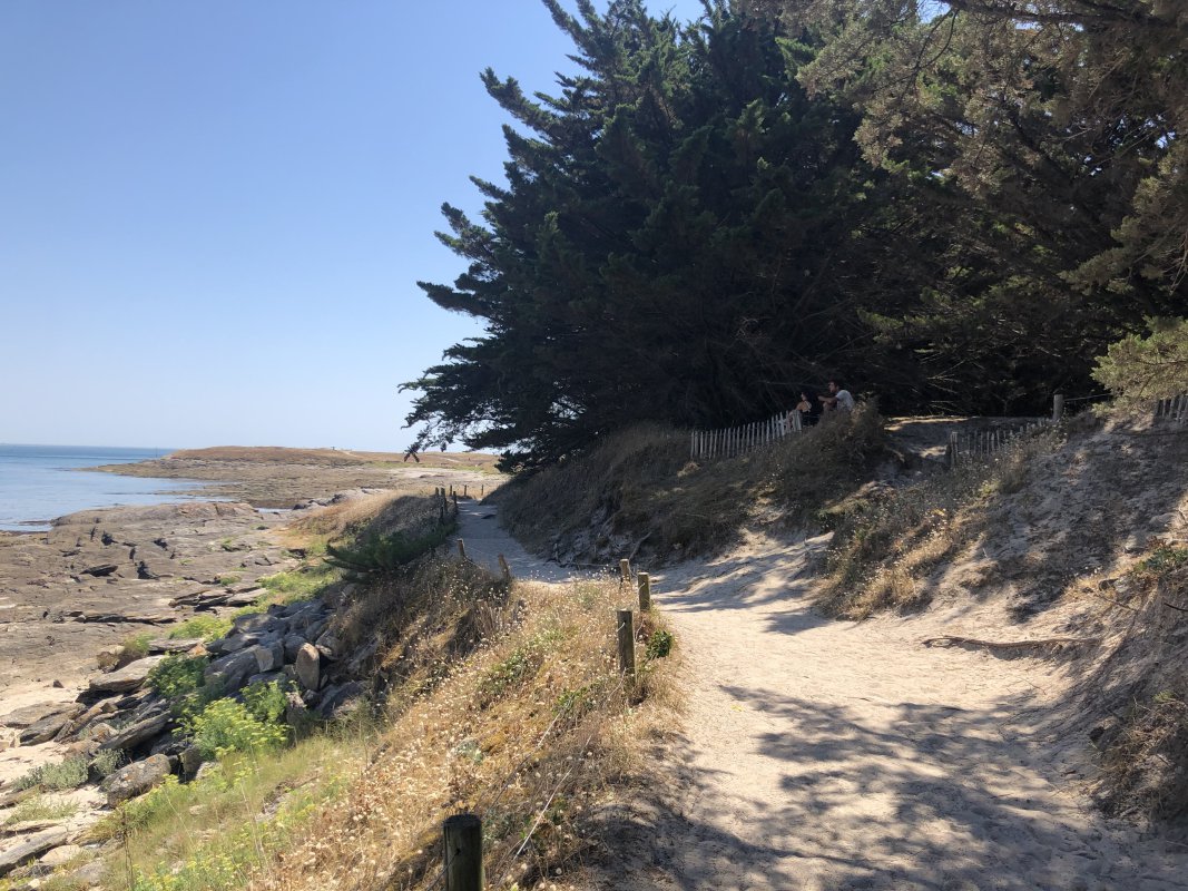 IMG_4169.jpeg