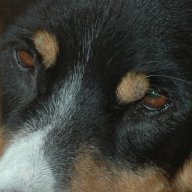 Bruder Jonas